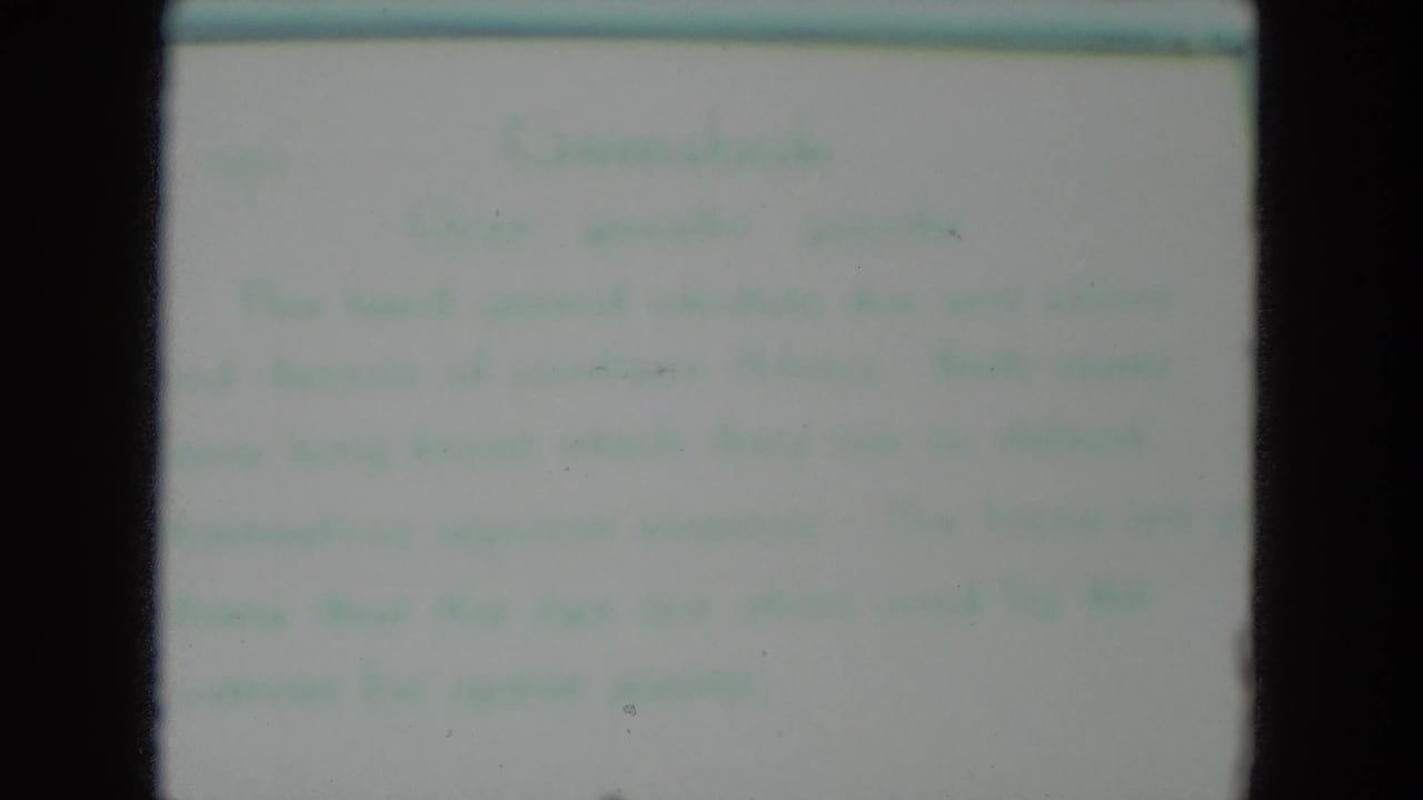 Blurry pale text card framed by dark 8mm film edges.