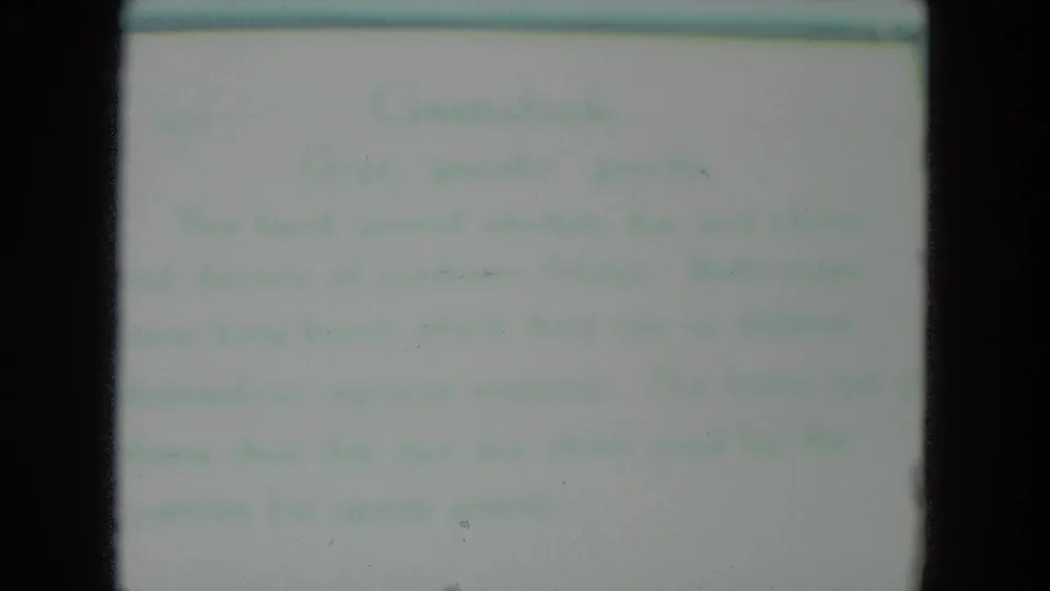Soft, unreadable text card in faded 8mm footage from the Racine, Wisconsin zoo clip.