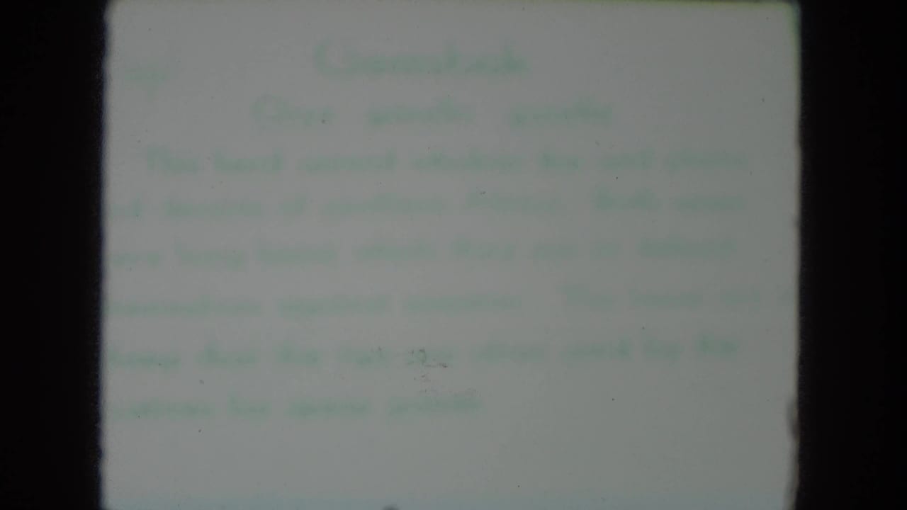 Another soft-focus text card appears in the 1972 Racine zoo home-movie footage, with lettering too blurred to read.