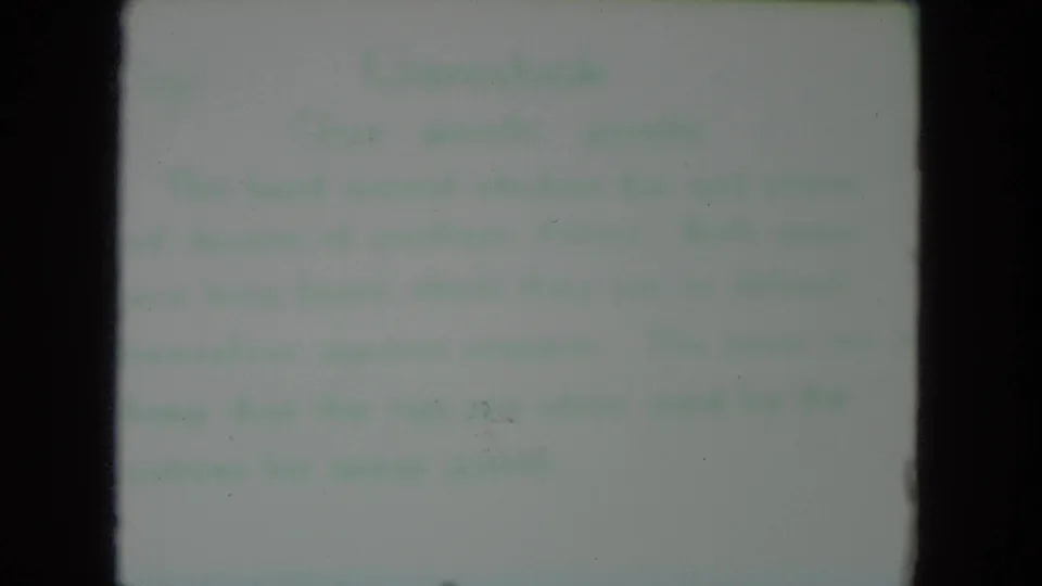 Another soft-focus text card appears in the 1972 Racine zoo home-movie footage, with lettering too blurred to read.