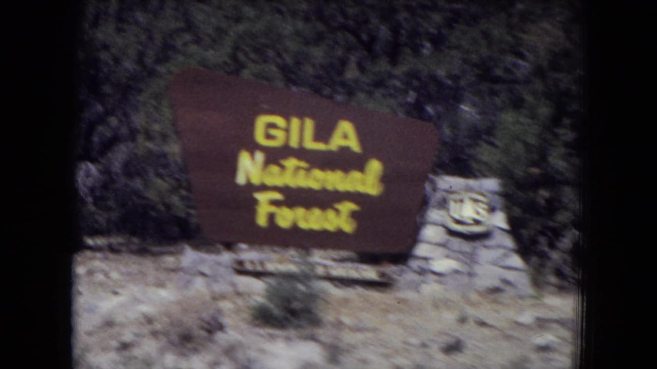 Brown Gila National Forest sign beside rocky ground and trees.