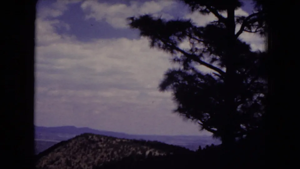 End of the 8mm pan with silhouetted pine branches, a low wooded hill, distant landscape, and clouded sky in New Mexico forest terrain.
