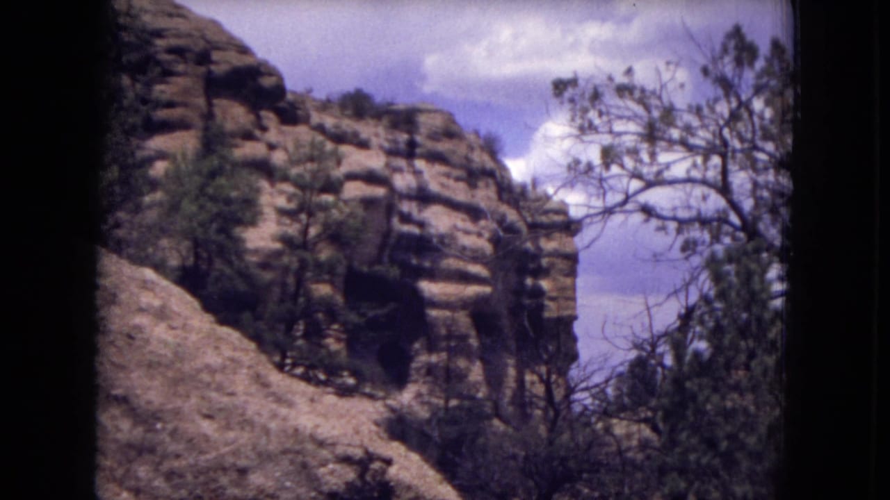Layered canyon rock beside trees under a partly cloudy blue sky.