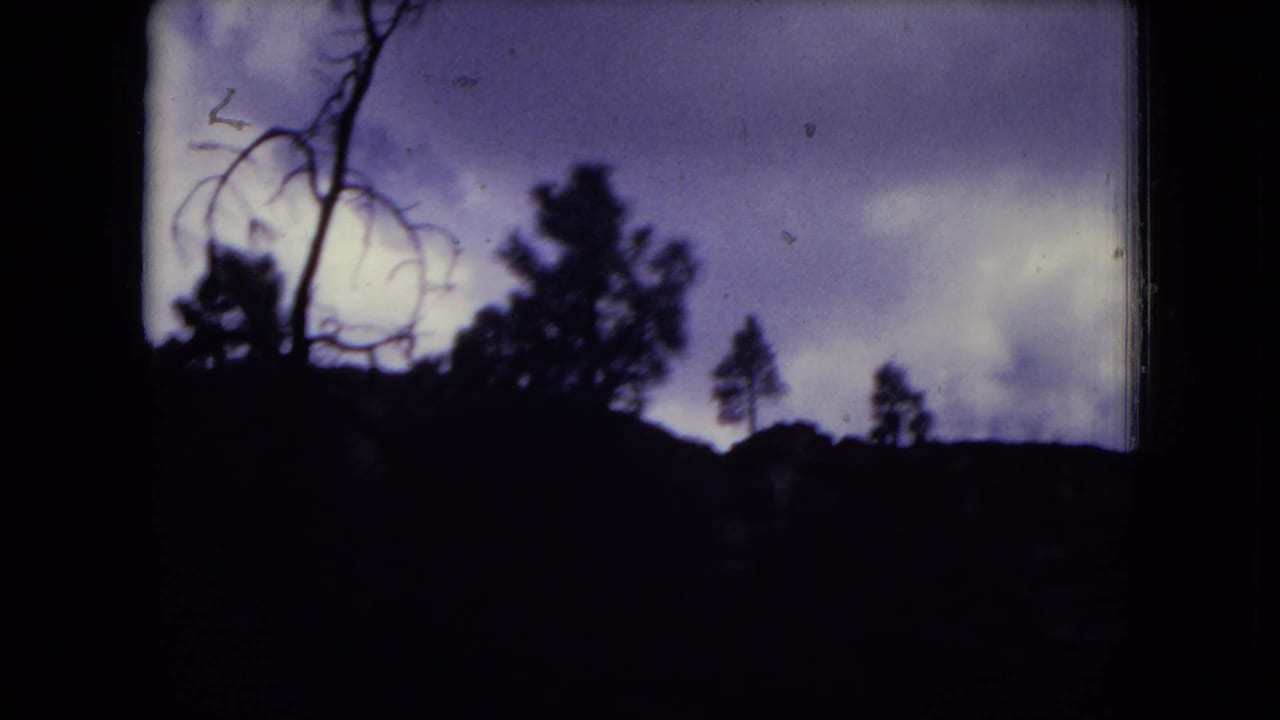 1973 8mm frame from Gila National Forest showing tree silhouettes and a dark ridge under an overcast purplish sky.