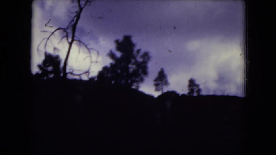 1973 8mm frame from Gila National Forest showing tree silhouettes and a dark ridge under an overcast purplish sky.