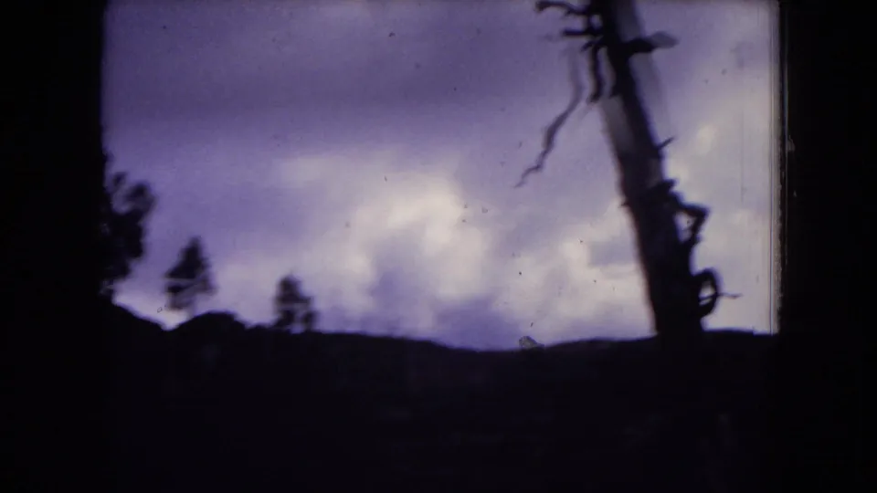 1973 Gila National Forest home-movie frame with pine silhouettes, a dark slope, and a bare tree trunk against cloudy sky.