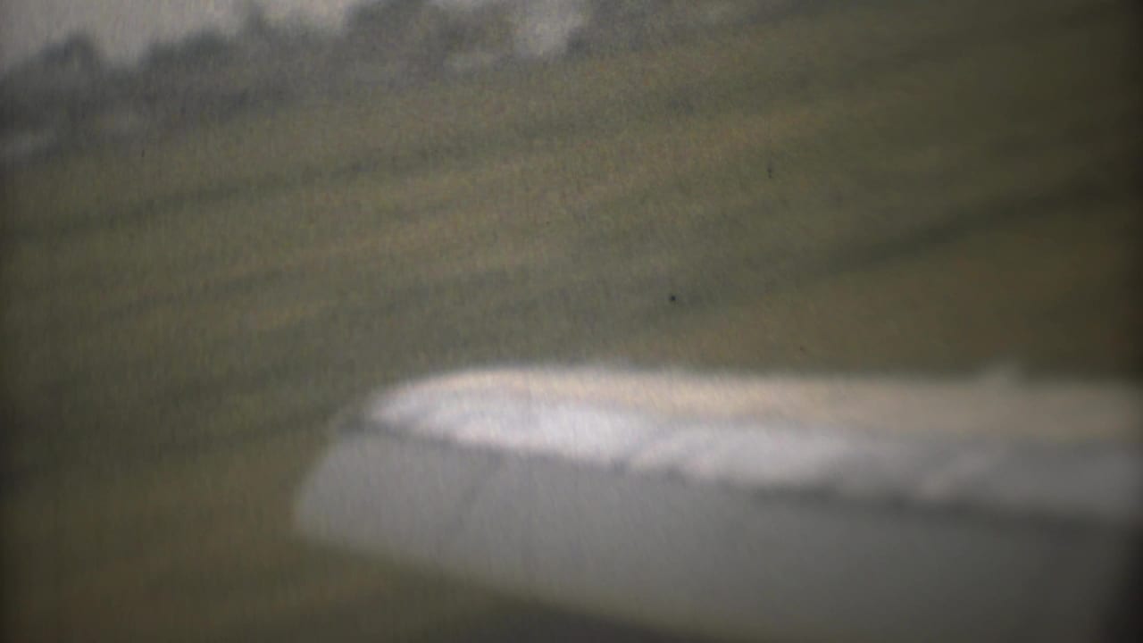 Soft view of an aircraft wing over a grassy airfield with a dark treeline beyond.