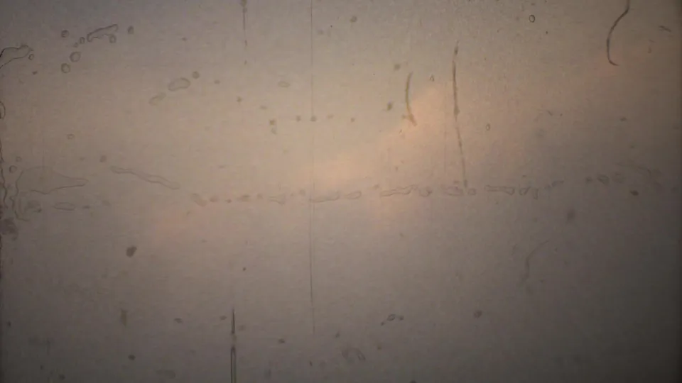 End frame from 1973 8mm footage showing pale overexposed film with scratches, dust, and faint border shading.