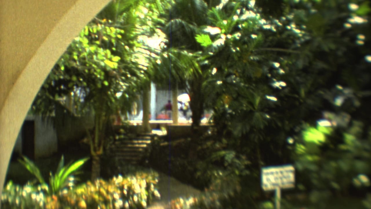 Tropical garden with stone steps leading toward a white building behind foliage.
