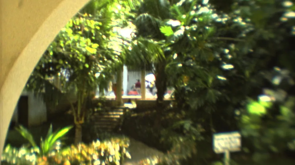 Mexico City garden scene on 8mm film, with stone steps, palms, a white structure, and indistinct people in the distance.