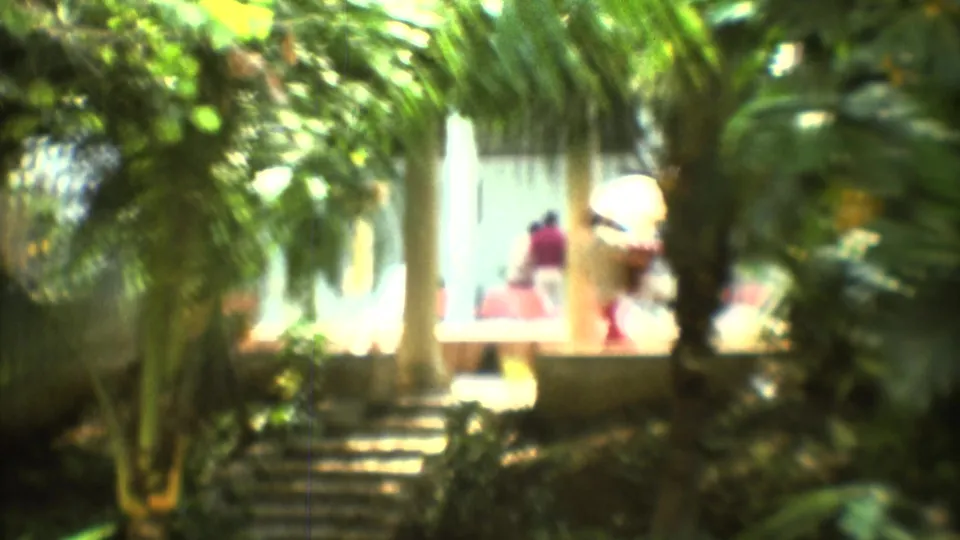 Soft 1973 8mm view through palms toward stone steps and distant figures near a sunlit Mexico City building.