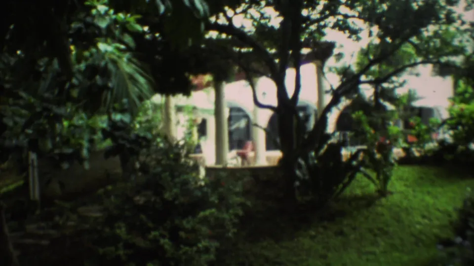 Wide shaded garden frame from Mexico City, 1973, showing trees, lawn, shrubs, and a white columned building in the background.