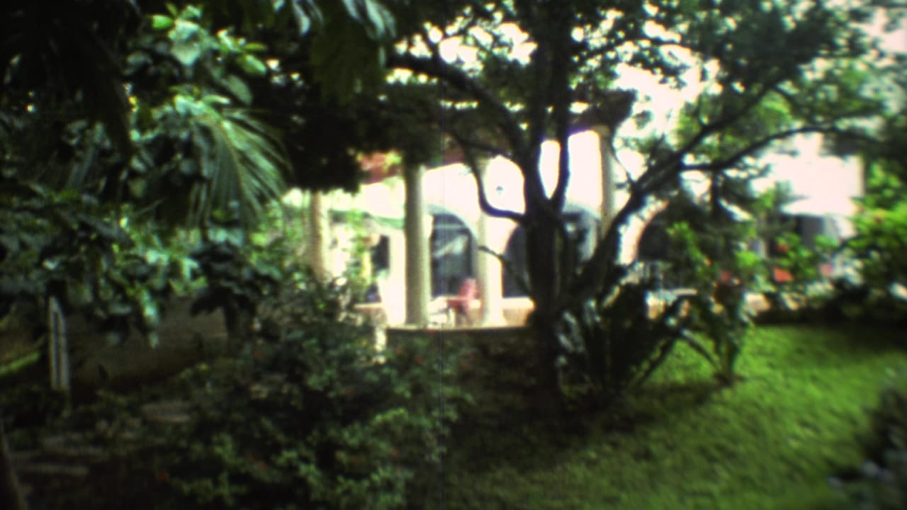 Garden courtyard with trees, lawn, and a white arched building in the background.