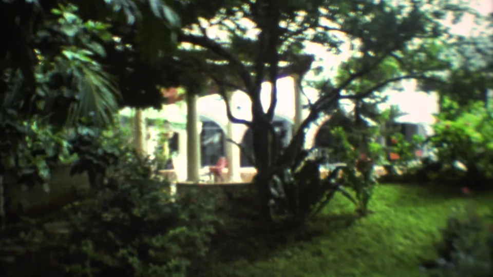1973 Mexico City frame with dense garden planting, tree canopy, and a white columned building seen through soft 8mm focus.