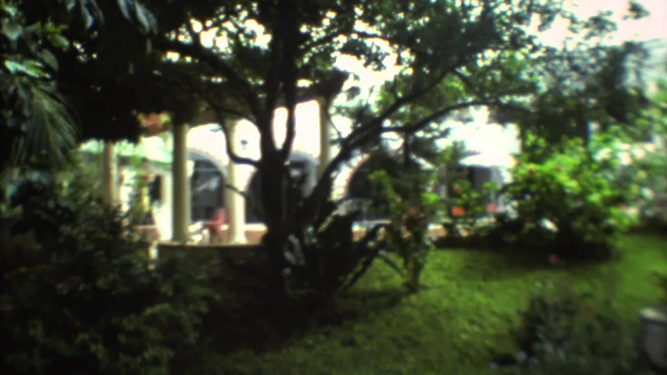 1973 Mexico City courtyard view with lawn, trees, white arches, and a person standing in the shaded edge of the frame.