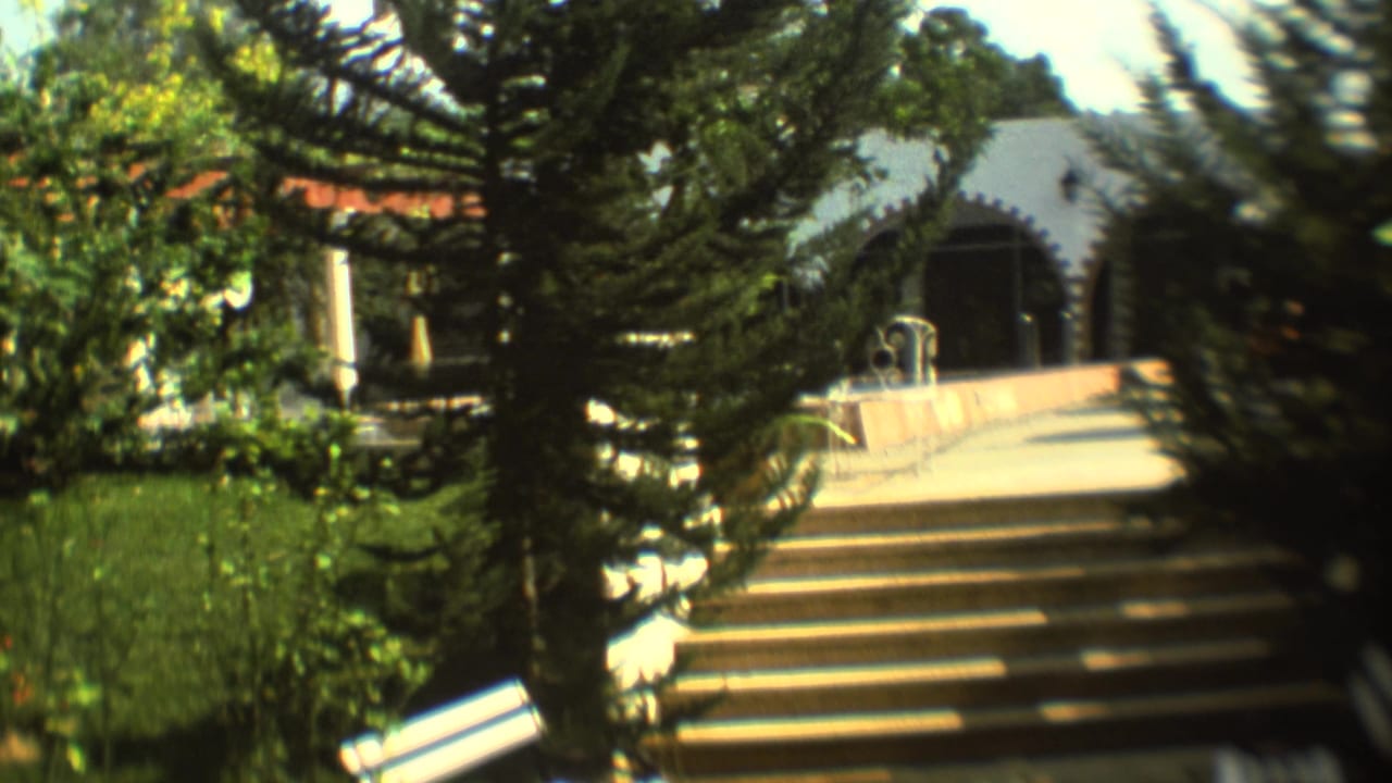 A sunlit walkway and steps are seen through trees near arched entrances.