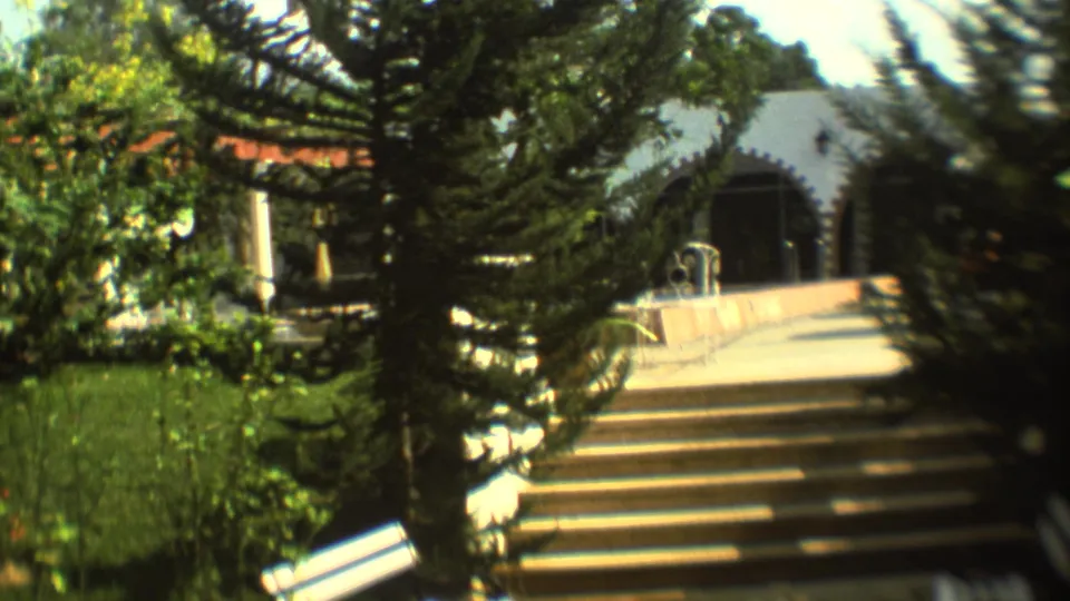 Trees partially frame a Mexico City building exterior with wide steps, a landing, and arched entryways in warm 8mm color.