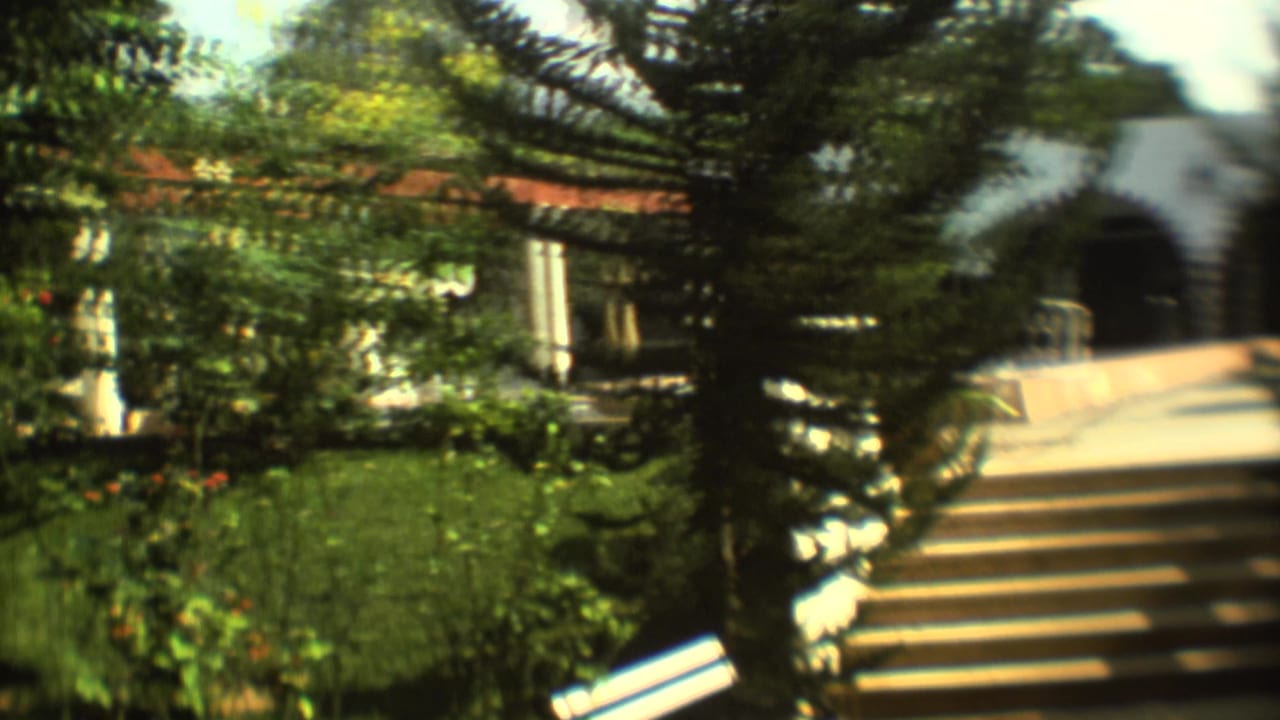 1973 Mexico City home-movie frame showing planted greenery, a tall tree, exterior steps, and an arched building entrance.