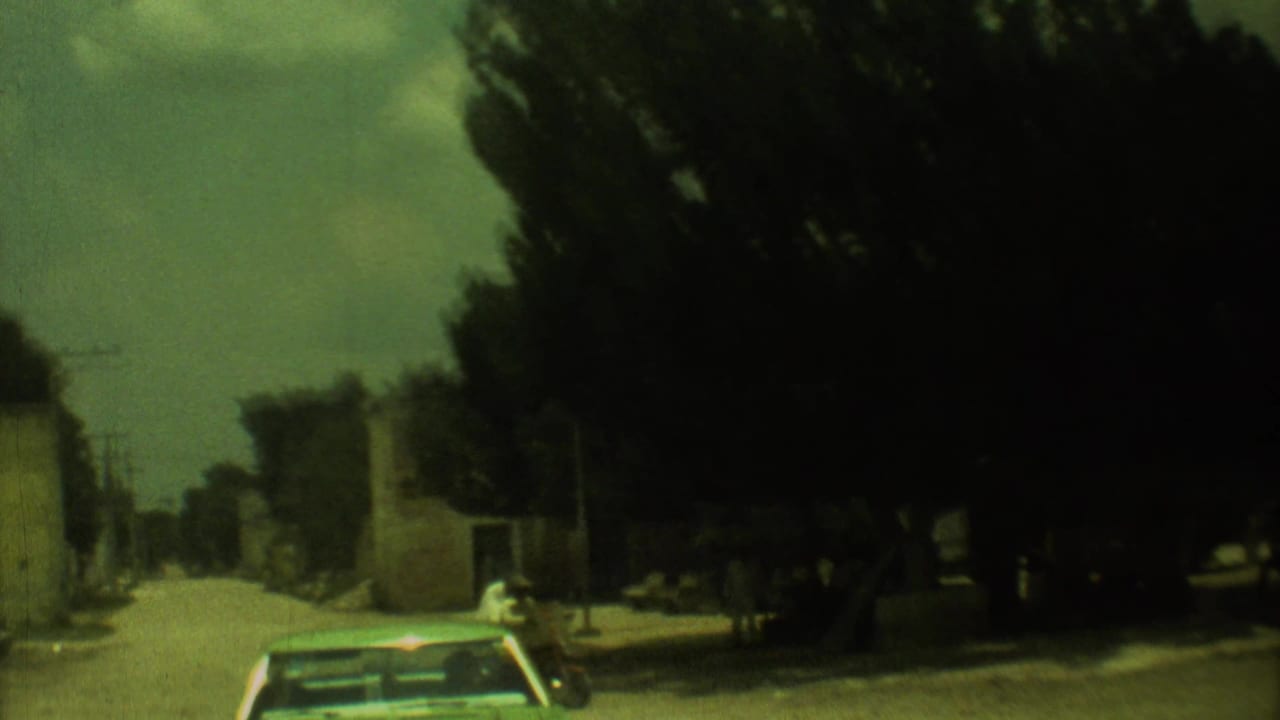 Exterior street view from the moving bus in Mexico City, showing trees, low buildings, and a car ahead through shifted 8mm color.