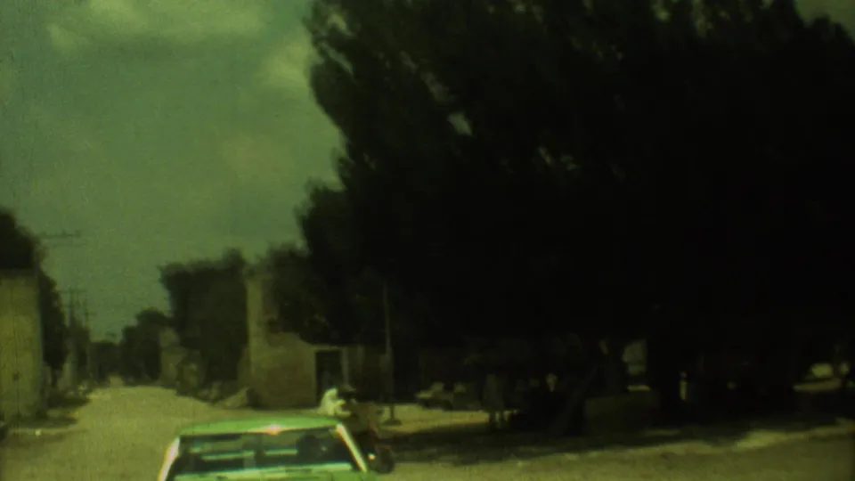 Exterior street view from the moving bus in Mexico City, showing trees, low buildings, and a car ahead through shifted 8mm color.