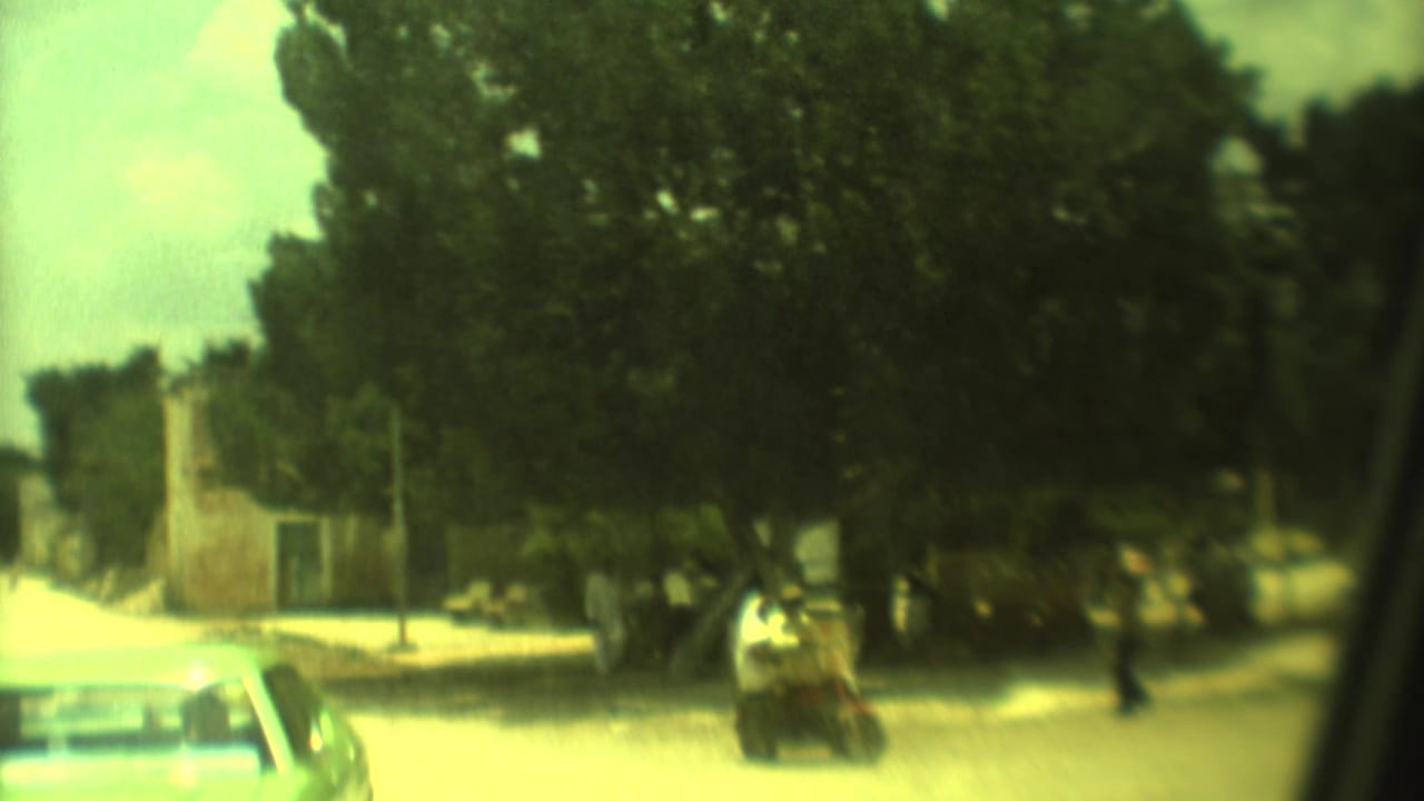 Soft 8mm view of a motorbike rider moving through a tree-lined Mexico City street with pedestrians and simple buildings.