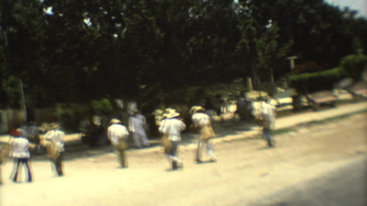 1973 Mexico City street scene with pedestrians in light clothing walking near a broad road, shade trees, and parked cars.
