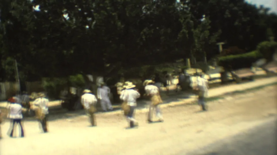 1973 Mexico City street scene with pedestrians in light clothing walking near a broad road, shade trees, and parked cars.