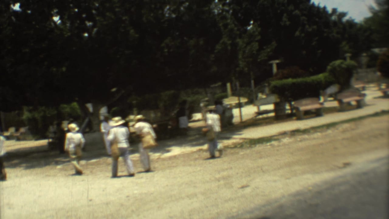 Late-frame 8mm view of pedestrians on a Mexico City road with heavy tree shade, parked cars, and roadside structures.
