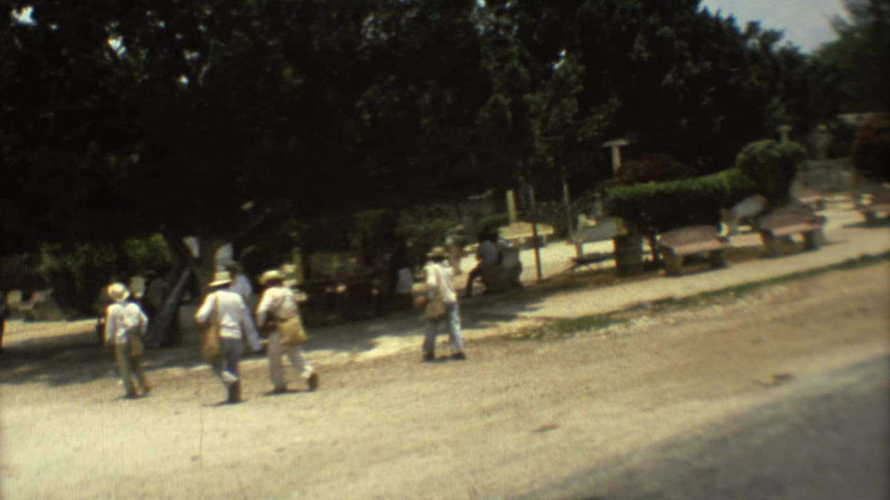 Several men walk along a sunlit path near trees and low walls.