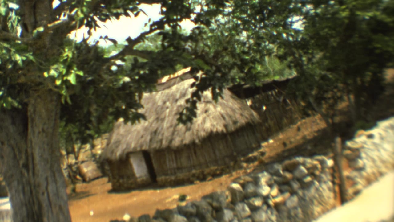 A thatched-roof hut stands behind a stone wall beneath leafy trees.