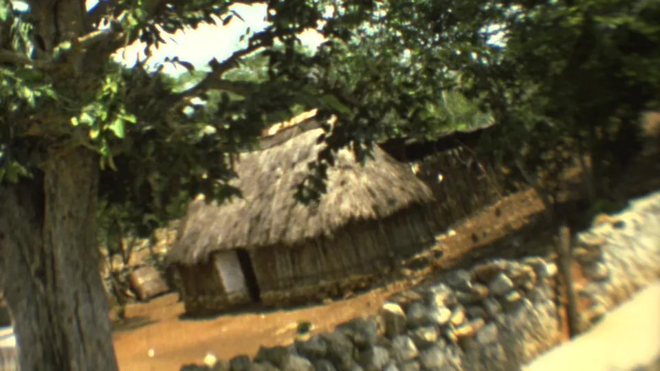 1973 Mexico City home-movie view of a thatched hut partly obscured by a tree, with stone edging and bright sunlit ground.