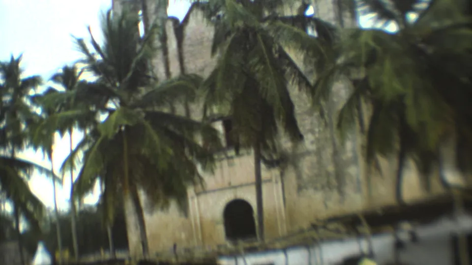 1973 Mexico City home-movie frame with palm trees and a weathered stone landmark seen through soft handheld 8mm focus.
