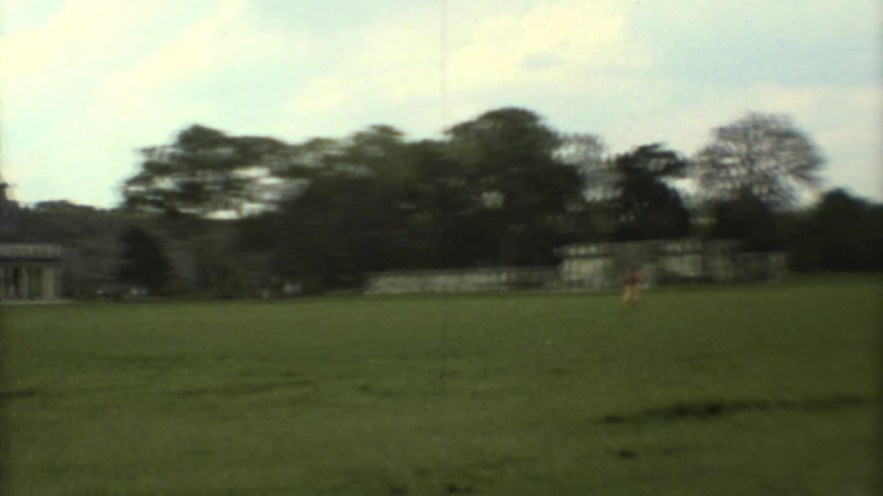 Wide grassy field with distant stone ruins and trees under a pale sky.