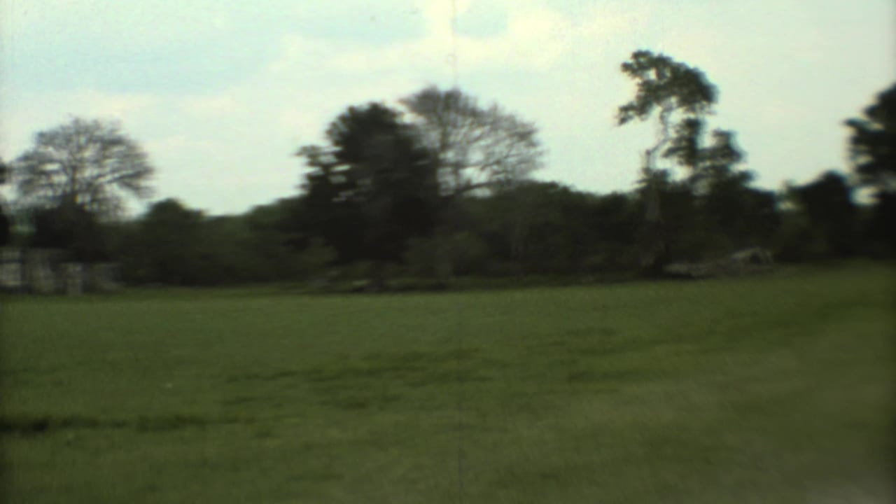 Wide grassy field with scattered trees under a pale sky.