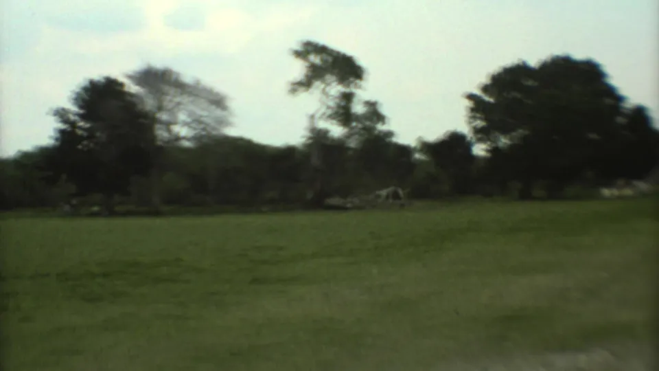1973 Mexico City home-movie frame with a grassy field, trees, and a distant structure that appears to be stone.