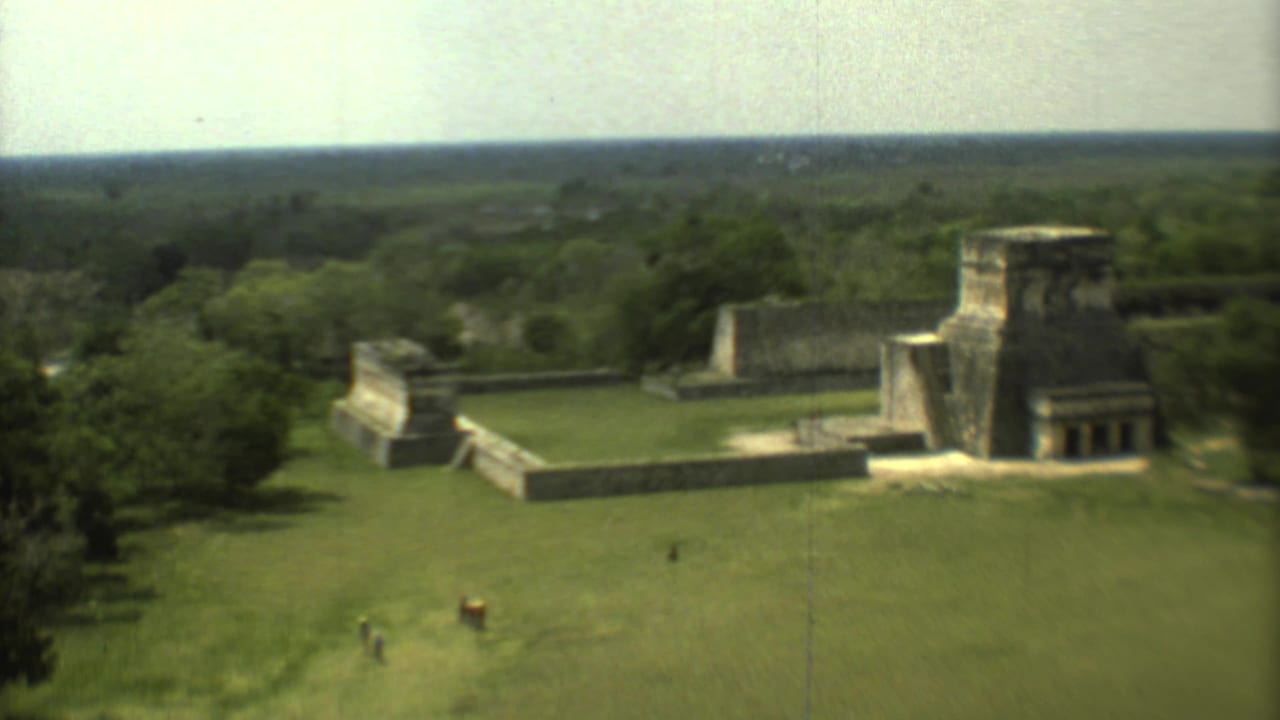 Aerial view of stone ruins beside a grass clearing and dense trees under a pale sky.