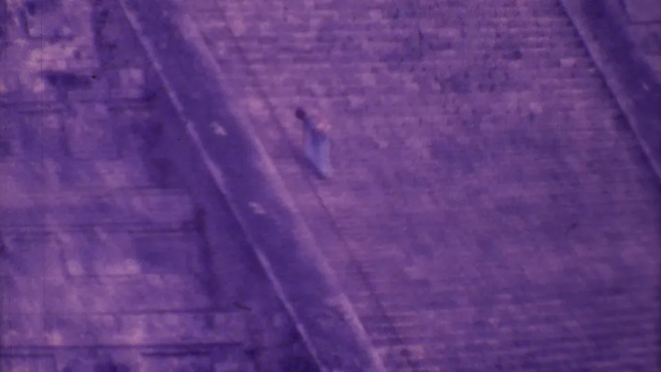 1973 8mm frame of a distant visitor on the right side of the steep stone pyramid steps, tinted purple by the film scan.