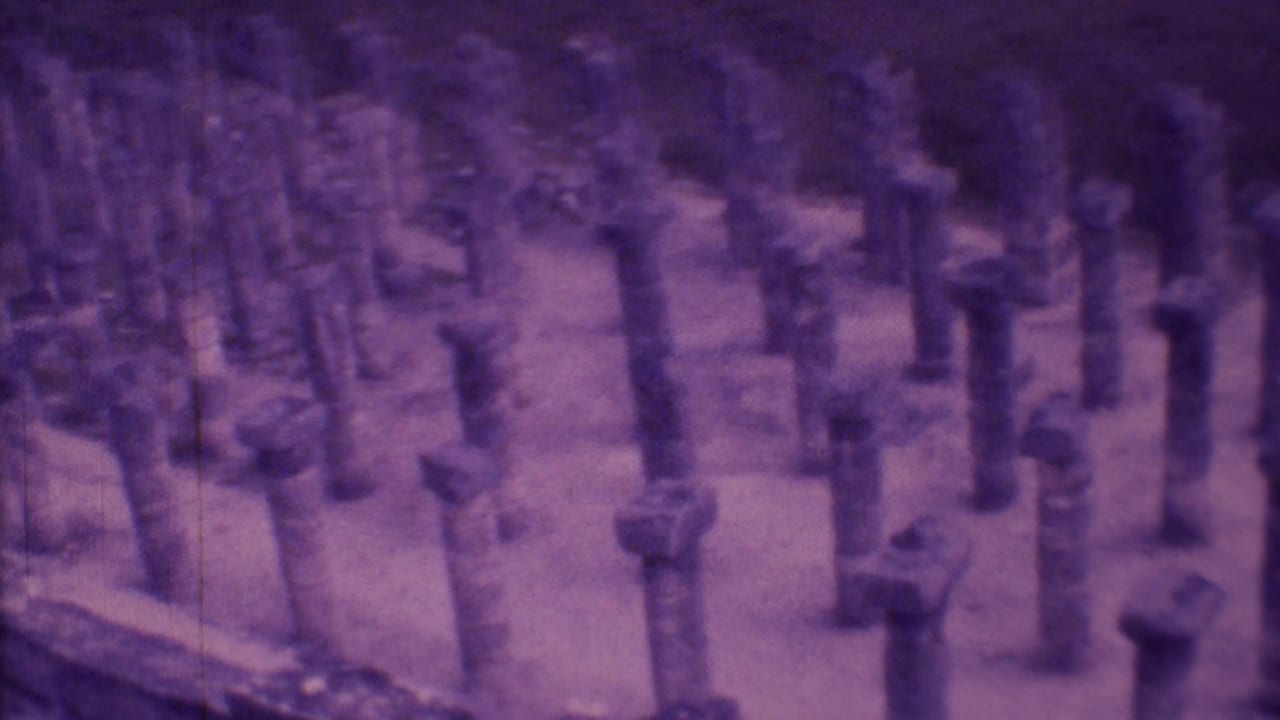 Rows of short stone pillars across open ground with a strong purple film tint.