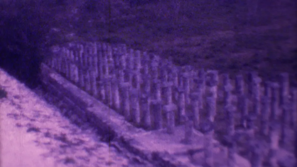 1973 Mexico City home-movie frame showing a dense field of short stone pillars beside a low wall.