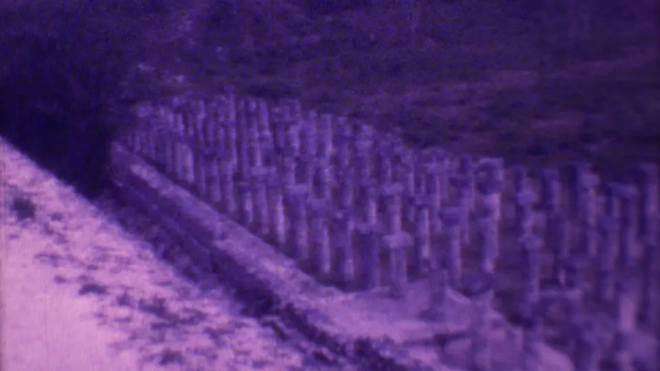1973 Mexico City 8mm frame showing a purple-tinted cemetery slope with rows of grave markers, vegetation, and a soft distant horizon.