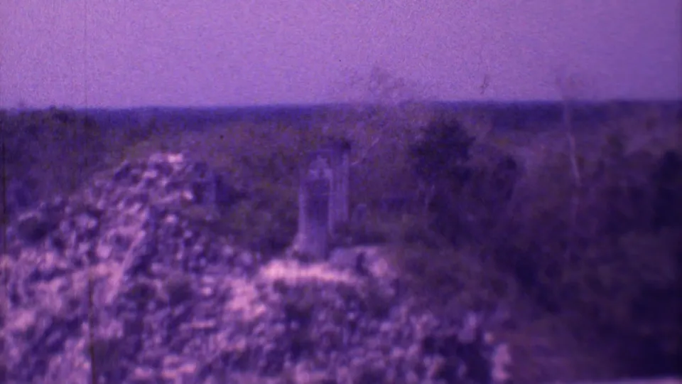 Purple 8mm home-movie frame of a Mexico City cemetery area with blurred grave markers, overgrown shrubs, and tree-covered distance.