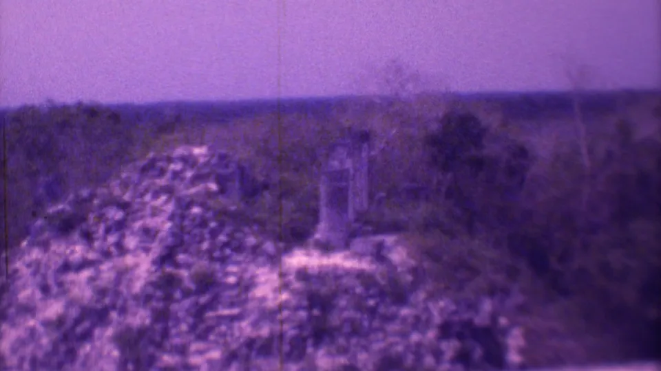 Soft-focus 1973 Mexico City cemetery view with purple color shift, clustered vegetation, a few marker shapes, and a low distant skyline.