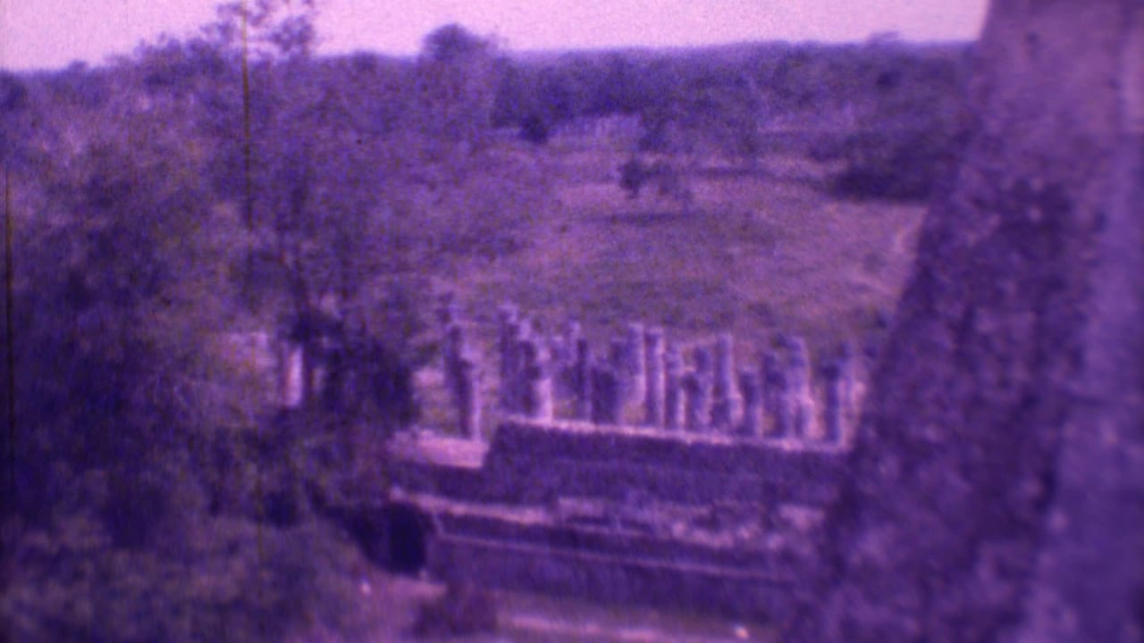 Overgrown cemetery grounds with upright stone markers and trees, tinted purple by aged film.
