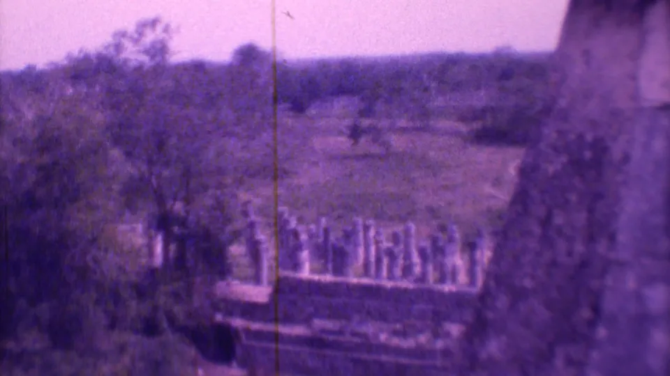 1973 Mexico City cemetery view with weathered upright markers, tree cover, distant terrain, and a soft purple 8mm color cast.