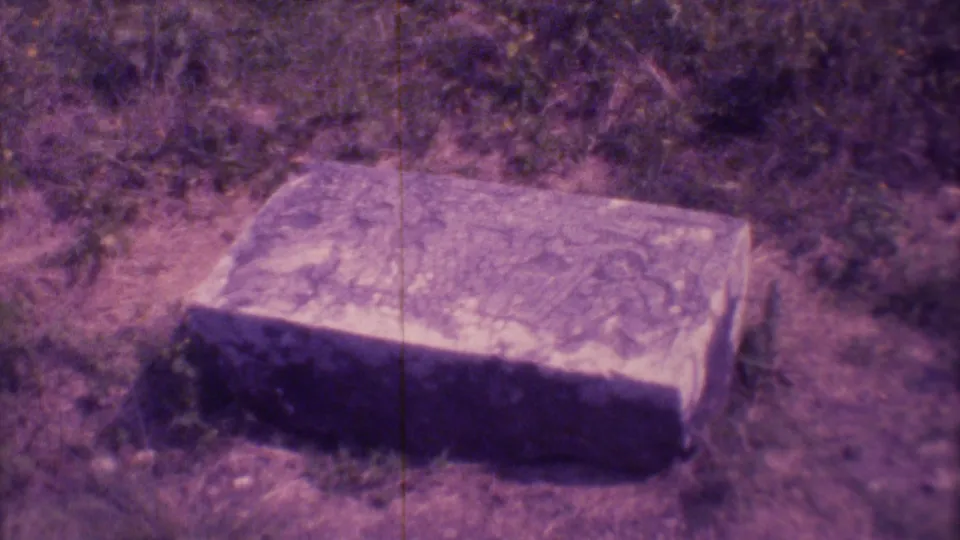 1973 Mexico City cemetery detail showing a worn rectangular stone tomb slab or marker lying low among grass, soil, and surrounding brush.