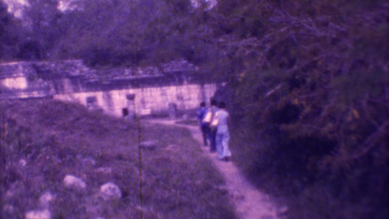 Three people walk down a narrow dirt path beside trees toward a low pale building.