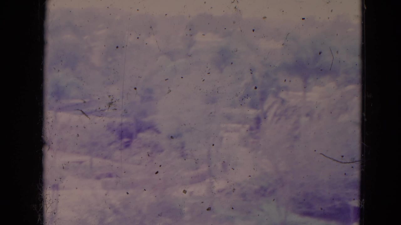 Soft 8mm view of trees and landscaped grounds with film dust and a dark frame edge.