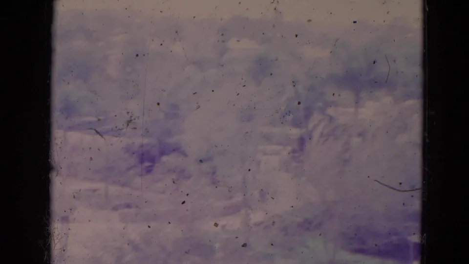 1974 Orlando home-movie frame showing distant trees, landscaped greenery, and heavy film wear through a soft purple color cast.