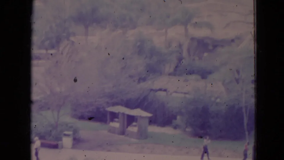1974 Orlando frame with a small shelter near palms and walkways, with distant pedestrian figures visible across the grounds.