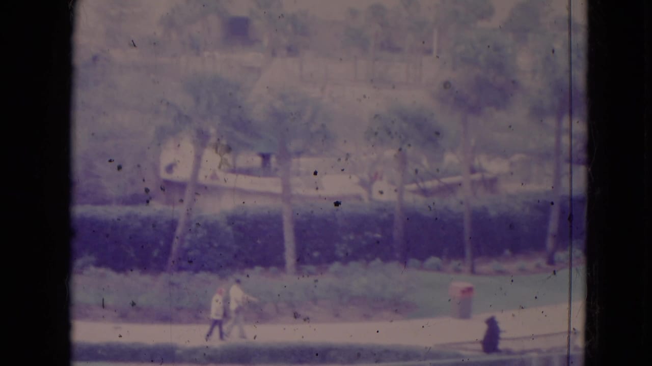 1974 Orlando home-movie frame with distant pedestrians along a path bordered by hedges and palm trees.